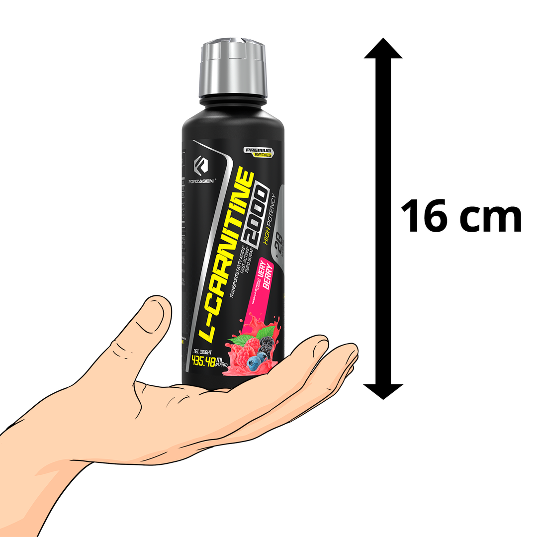 l carnitine 2000 valor Forzagen L- - Liquid Carnitine with Vitamin B6 | Acetyl L-Carnitine | L-Tartrate It transports fat into Purity Products Green Tea mit Vitaminen Size:10 Sheets