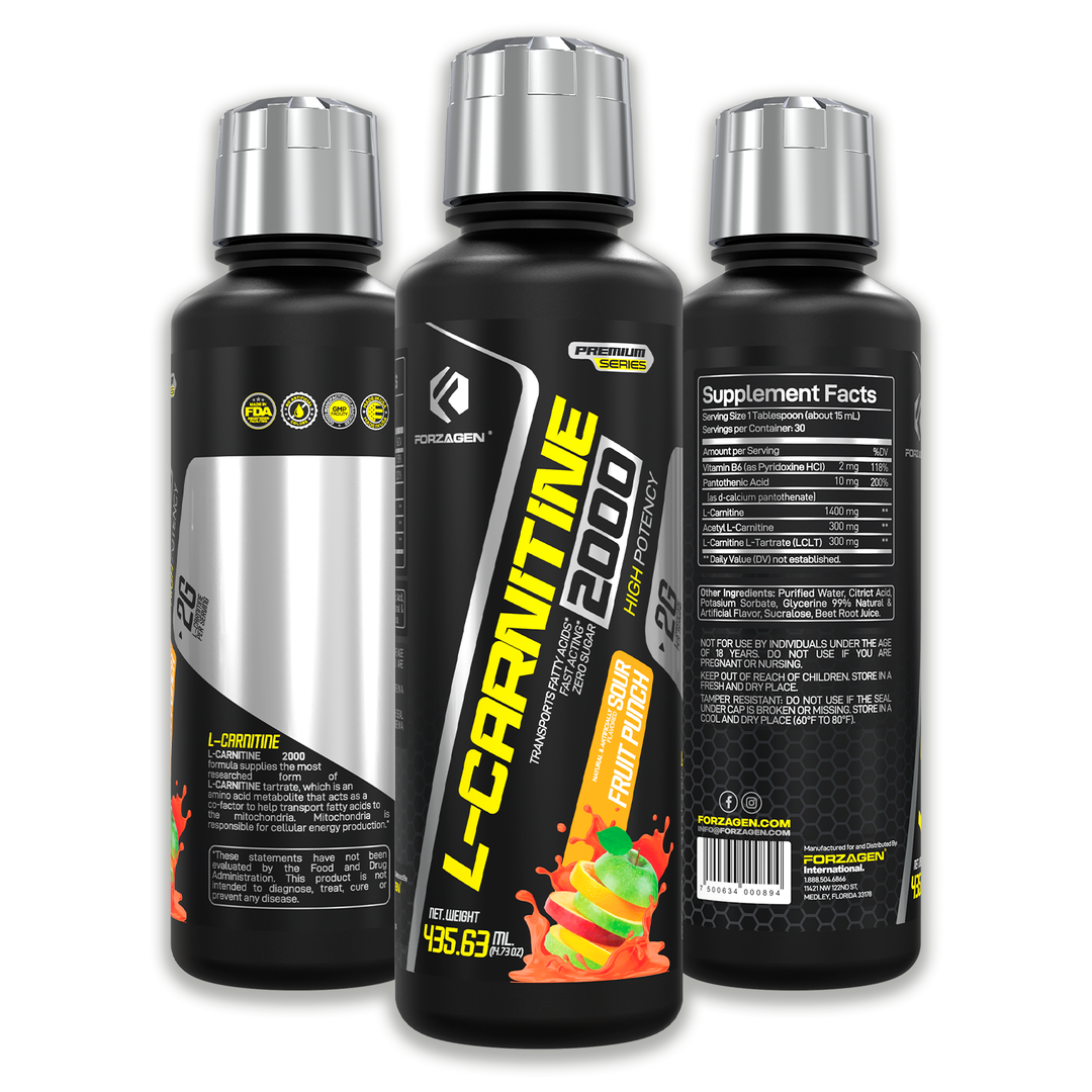 thermo l carnitine Kingsize Nutrition Thermo Carnitine 1000 mL