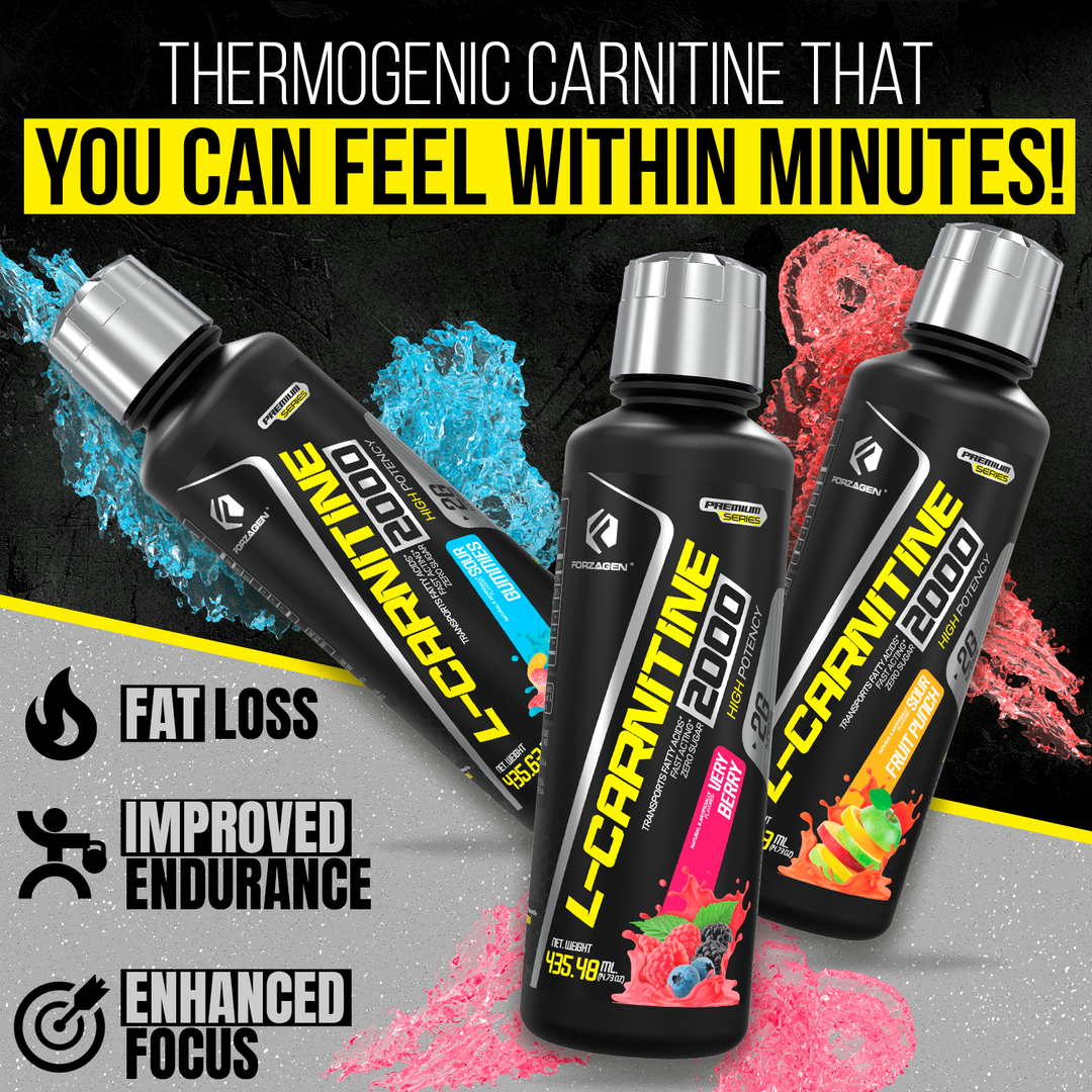 l carnitine muscletech When Should You Take L-Carnitine? · MuscleTech main image 0